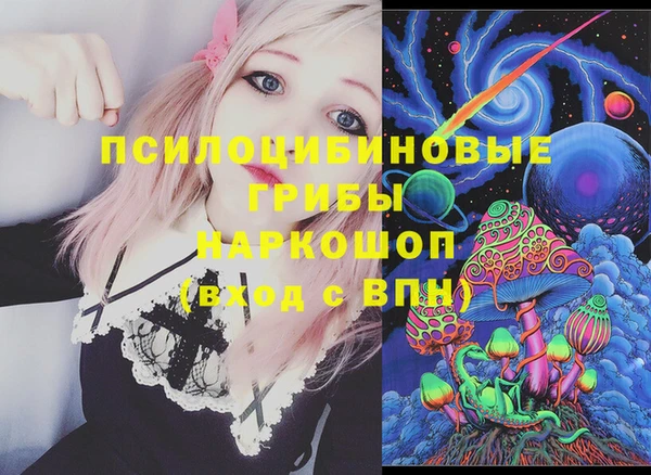 дживик Верхний Тагил