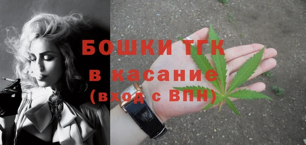 прущие крисы Верея